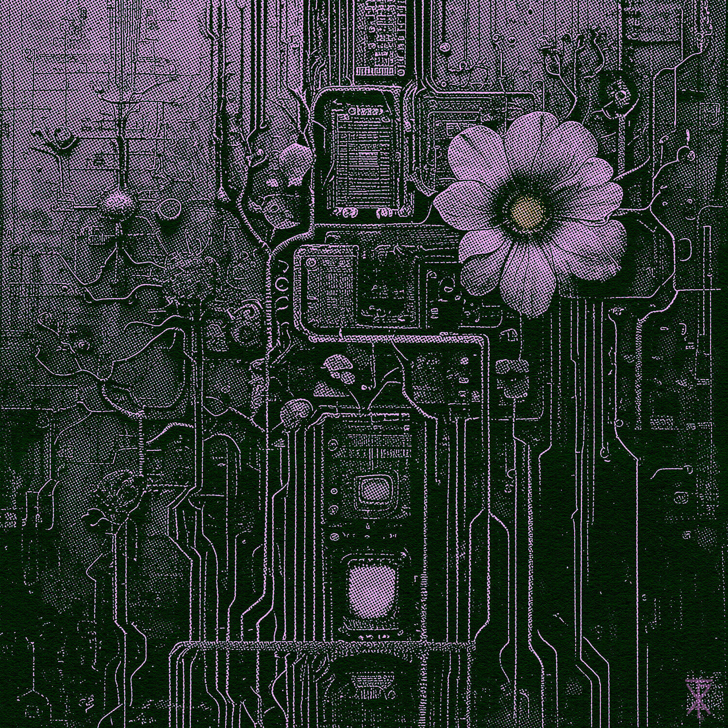 Conditions To Bloom In Rust 006